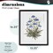 Stupell Industries Where Wild Flowers Bloom Framed Print Under Glass, design by Cecilia Battaini